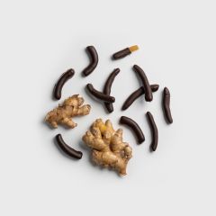 Leonidas Gingembrettes, Candied Ginger Pieces in Chocolate