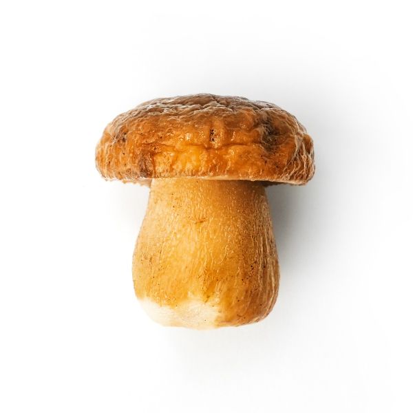 Whole Porcini Mushrooms, Frozen