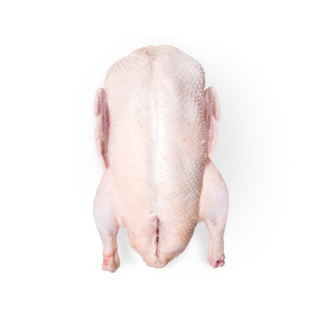 Whole Young Duck - Approx. 5 lb. 2.3 kg - Guaranteed Overnight