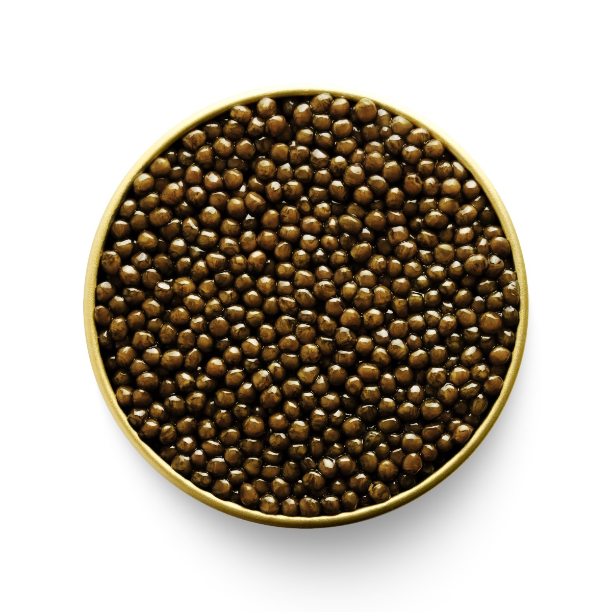 Buy Kaluga Fusion Black Caviar Online | Markys