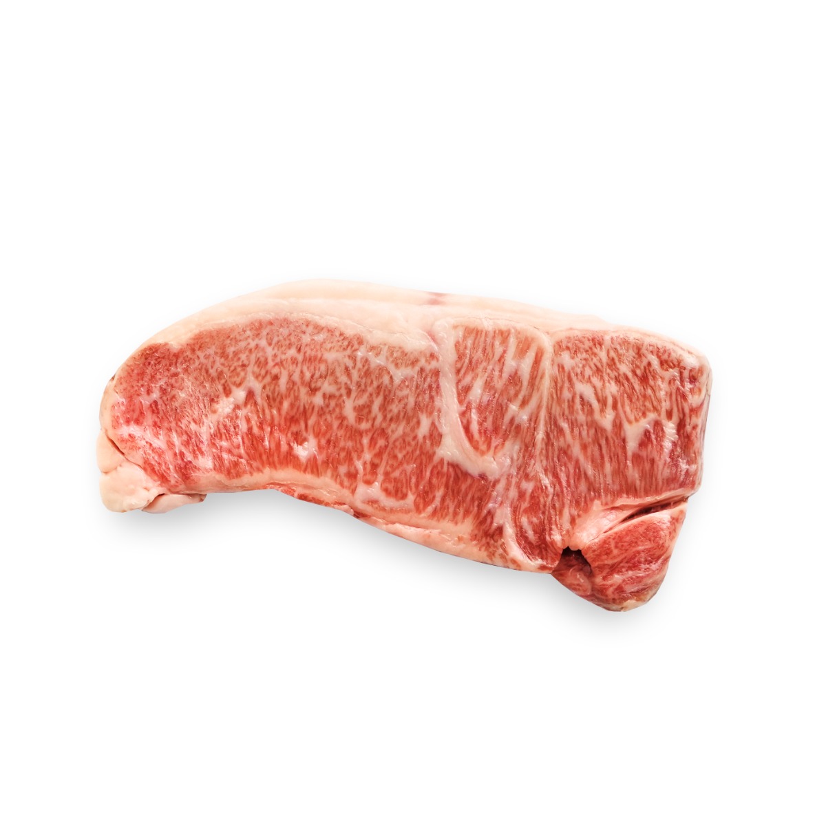 Japanese Wagyu Beef: The Forbidden Meat