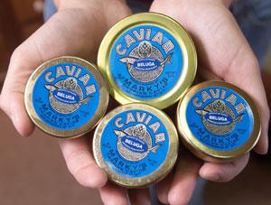 STURGEON SAVERS: Tins of Russian beluga caviar from Marky's. DAVID ADAME/FOR THE HERALD