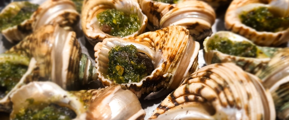 490_Escargots-min